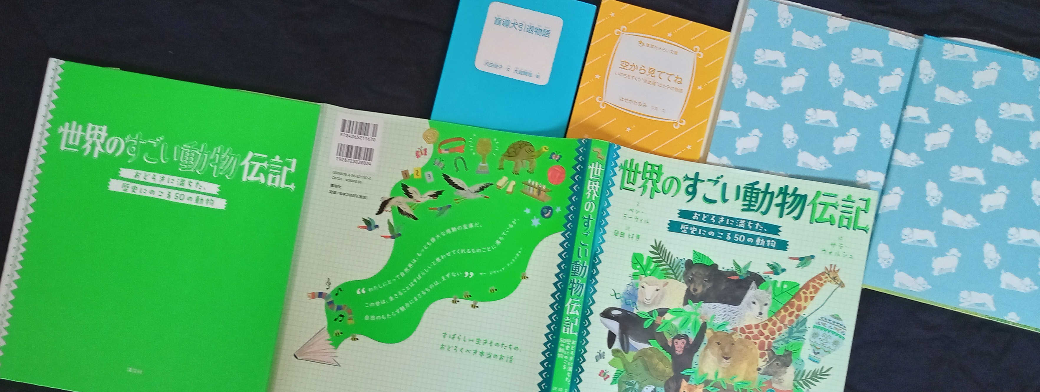 絵ノ本桃子 読書感想文にもおすすめ 知っているようで知らない 動物と人との暮らしを知る絵本 伝記 Power Palette